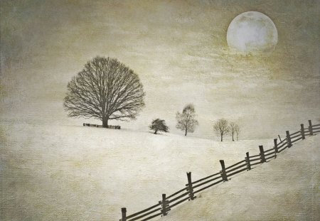 Winter calmness - snow, moon, trees, winter