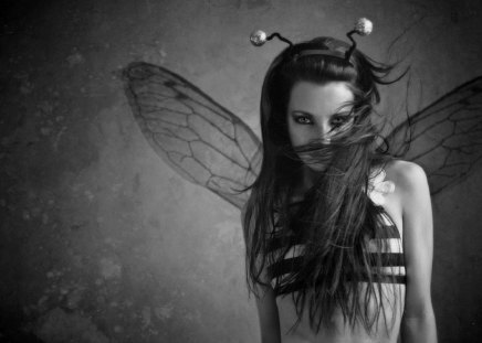 PRETTY BEE - bee, wp, photography, girl, beauty, black, white, funny, bw