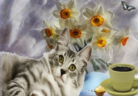 Good morning - butterfly, coffee, flowers, cat