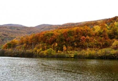 Autumn River - autumn, fall, trees, photography, river, photo, bulgaria