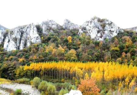 Mountain - faorest, photo, photography, trees, nature, mountain, colors, autumn, bulgaria