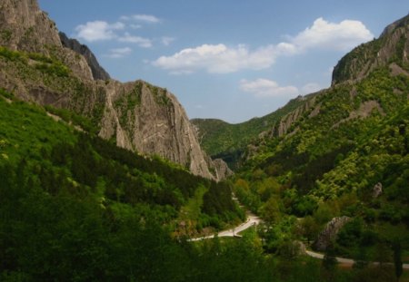 Spring Time - trees, mountain, photography, bulgaria, spring, rocks, nature, green, photo