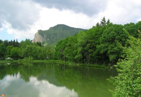 Green River - evergreen, trees, photography, photo, Bulgaria, reflection, mountain, river, nature, green