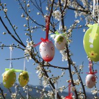 Spring Blossoms & Easter Eggs