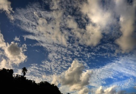 SUNSET - white, sky, black, clouds