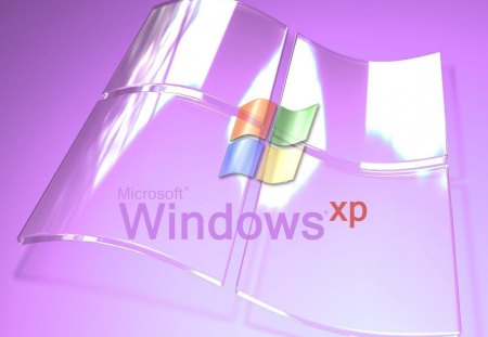 Windows XP - purple, windows, glass, xp