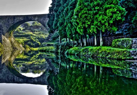 MIRROR REFLECTION - reflectuons, green, bridge, river