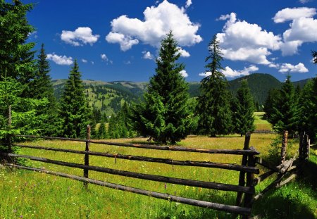 What Lies Beyond The Fence - nature, sky, fence, trees, clouds, mountains, grass