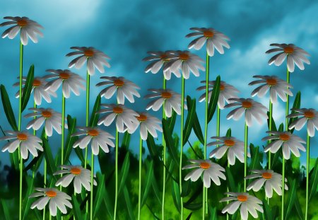 ✰Splendor Daisies of Spring✰ - pretty, splendor, leaves, flowers, daisies, premade, grasses, plants, sky, clouds, trees, beautiful, colors, lovely, cool, love, sweet, colorful, resources, nature, stock images, cute, background