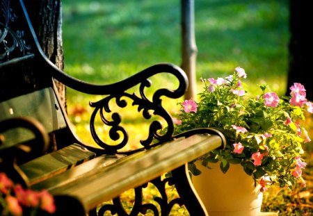 Spring - beauty, bokeh, bench, lovely, spring, vase, nature, pretty, beautiful, spring time, green, flowers, pink flowers, grass