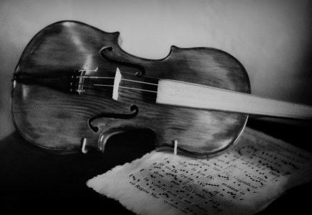 violin - white, art, photography, music, wp, violin, bw, black