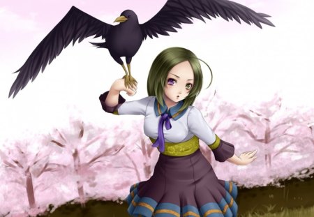 BlackCrow - feather, animal, cute, bird, short hair, wing, hot, anime, anime girl, girl, wings, crow, sexy, female, green hair