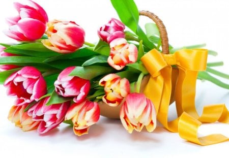 Beautiful tulips - petals, ribbons, tulips, bouquet, flowers