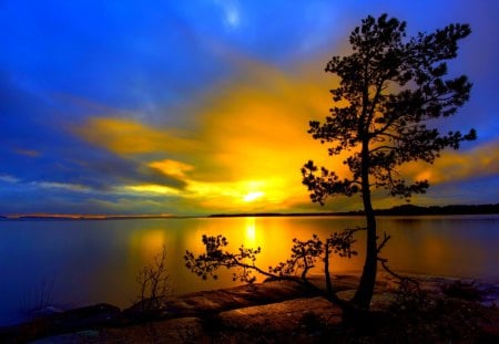 LAKE SUNSET - lake, sweden, tree, sunset