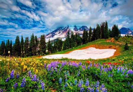 SPRING MOUNTAIN - flowers, nature, landscape, spring, grass, mountains, sky