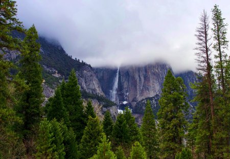 YOSEMITE - california, yosemite, falls, usa, parks, fog, mist, nature, mountain