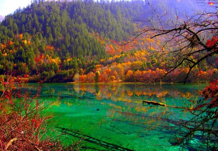 AUTUMN LAKE - lake, forest, mountains, fog, autumn