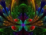 VIBRANT FRACTAL