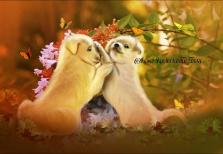 âœ°Puppies Gamesâœ° - seasons, cute, photo manipulation, beautiful, leaves, adorable, flutter, wings, grasses, plants, dogs, nature, colorful, animals, pretty, cool, flowers, spring, sweet, love, digital art, butterflies, games, puppies, lovely, trees, colors