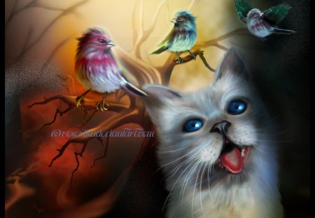 ✰Josh are Friends✰ - pretty, fun, birds, josh, jolly, kitten, friends, beautiful, digital art, together, colors, lovely, cool, cat, cheerful, colorful, fantasy, cute, adorable, animals, photo manipulation