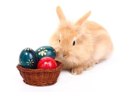 Pretty Bunny â™¥ - easter, greetings, basket, holidays, eggs, bunny, colors