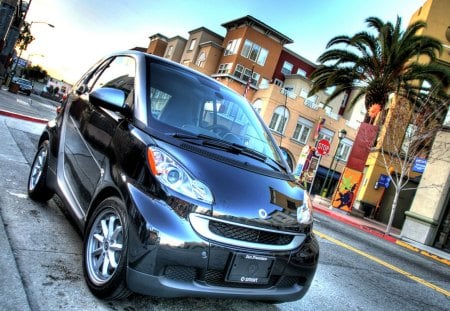 tiny smart car hdr - tiny, street, car, hdr, palm