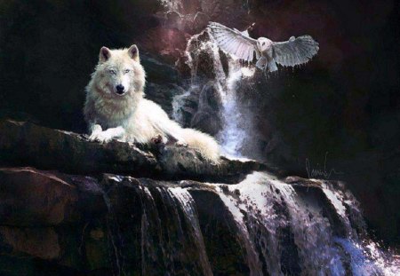 Odd Friends - wolf, abstract, animals, owl, waterfall, fantasy