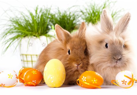 Easter Bunnies - eggs, pots, rabbits, easter bunnies, bows, spring, easter, flower pots, easter eggs, holiday, plants, bunnies, ribbons