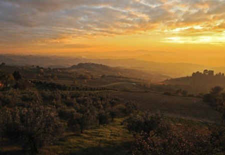 Golden sunset - forest, hills, clouds, mountains, landscapes