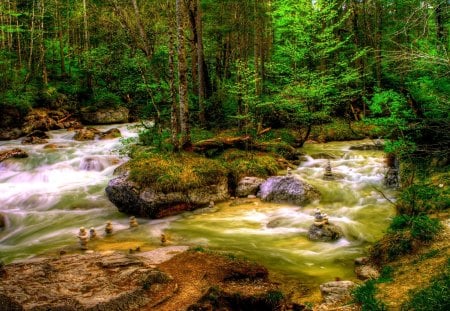 FOREST RIVER RUSH - river, trees, current, landscape, forest, rocks