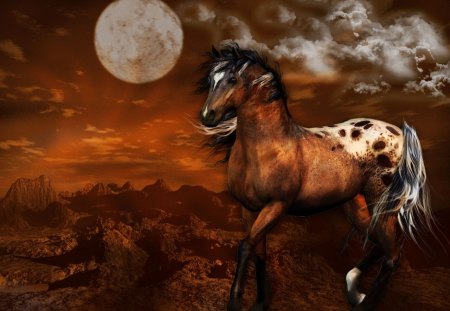 Apache Moon - free, moon, beautiful, horse, wild