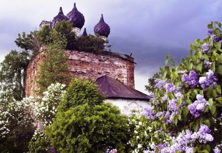 Hidden Castle - nice, flowers, castle, hidden