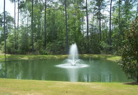 Fountain - pretty, trees, fountain, water