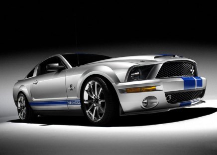 Untitled Wallpaper - shelby, mustang, raw muscel, gt 500 kr, fast eddy