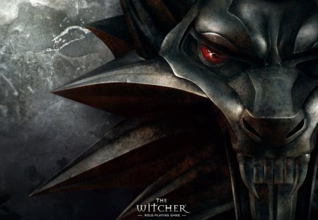 The Witcher