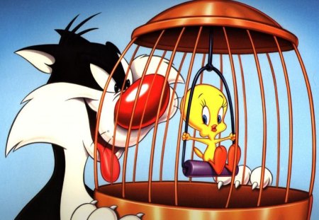 Sylvester and Tweety - birdcage, sylvester and tweety, sylvester, tweety bird