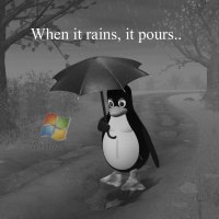 When It Rains It Pours