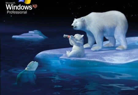 WinXP Pro - Cola Bears - cola bears, winxp pro