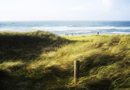 Wafting - beautifull, beach