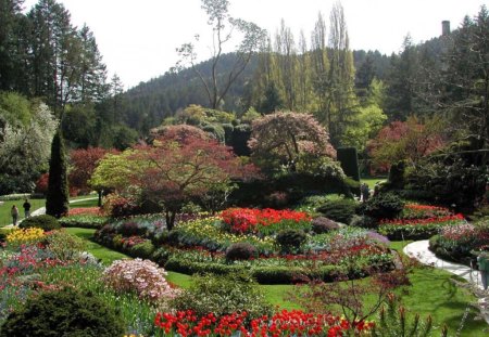 Garden - flowers, garden