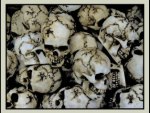 Skulls