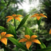 Orange flowers