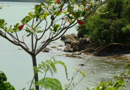 Puerto Rico Patillas - patillas, puerto rico