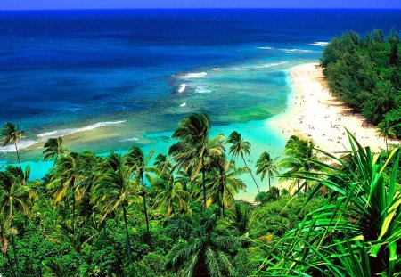 lovely earth - coconut trees, water, beach, road, sand