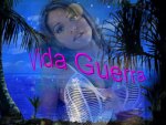 Vidda guera