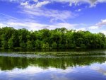 REFLECTING POND