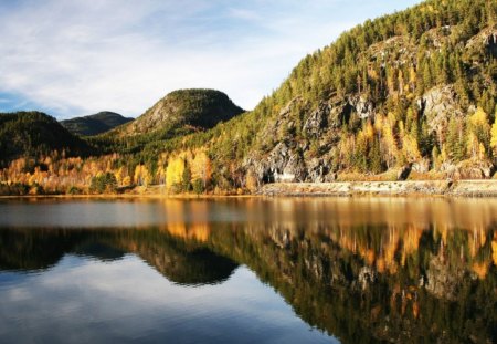 reflexion - rock, river, reflexion, trees