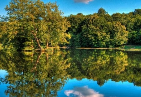 the beauty of reflexion - reflexion, trees, water clouds