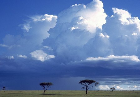 Storm Over the Savannah - nature, entertainment, abstract, blue wallpaper, fantasy, other