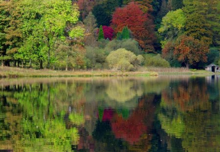 Reflection - nature, lake, autumn, trees, water